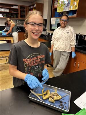 7th grade science dissection 2025 13.jpg